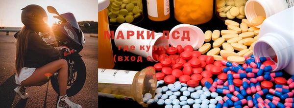 гидра Алексеевка